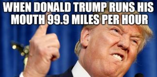 What Trump Has Wrong About the Border Wall, in Five Angry Tweets Trump Tweets belatina