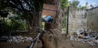 Assessing the Long-Term Damage of Hurricane Maria: An Increase in Opioid Overdoses and Fatalities Photo Carlos Giusti Opioid Crisis Puerto Rico BeLatina