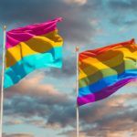 Pansexual: The Past and Popular Usage of the Term