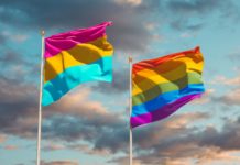 Pansexual: The Past and Popular Usage of the Term