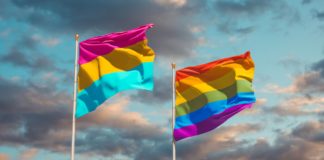 Pansexual: The Past and Popular Usage of the Term