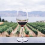 Vino Latino: All the Latino Winery Owners You Need to Know