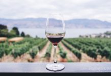 Vino Latino: All the Latino Winery Owners You Need to Know