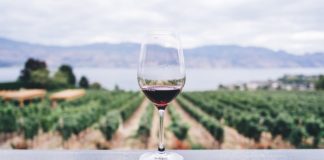 Vino Latino: All the Latino Winery Owners You Need to Know