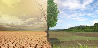 New Study Suggests Latinos Care More About Global Warming Than Non-Latinos