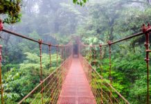 A Look at the Major Indigenous Cultures of 13 Latino Countries