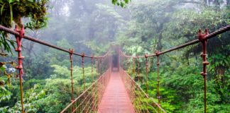 A Look at the Major Indigenous Cultures of 13 Latino Countries