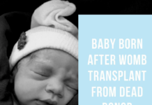 Uterus Transplants: A New Era of Possibilities for Motherhood? Womb Transplant Uterus Belatina