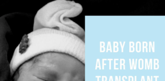 Uterus Transplants: A New Era of Possibilities for Motherhood? Womb Transplant Uterus Belatina