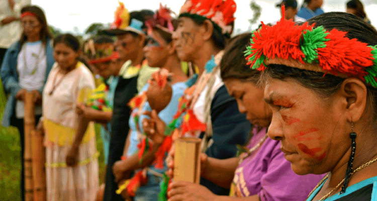 Guarani-Kaiowá Indigenous People BeLatina