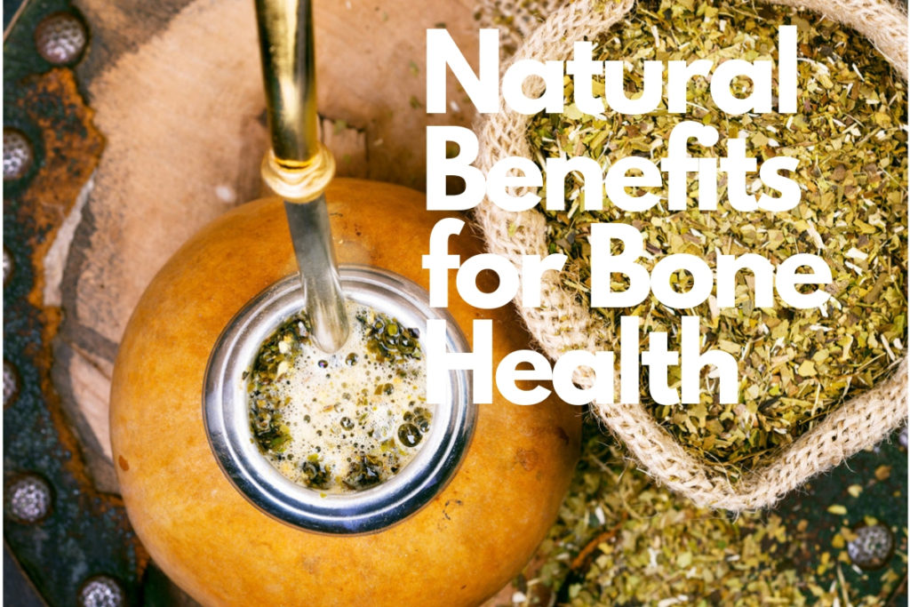 Bone Health Benefits Yerba Mate