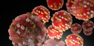 Three Measles Vaccine Myths You Need to Know