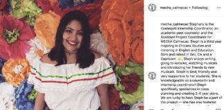 The Truth About Faculty Diversity – Or Lack Thereof Mecha_calmecac College