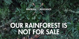 Amazonian Tribe Wins Lawsuit Against Ecuadorian Government to Protect Their Land From Oil Companies Waorani Resistance Wins Rainforest