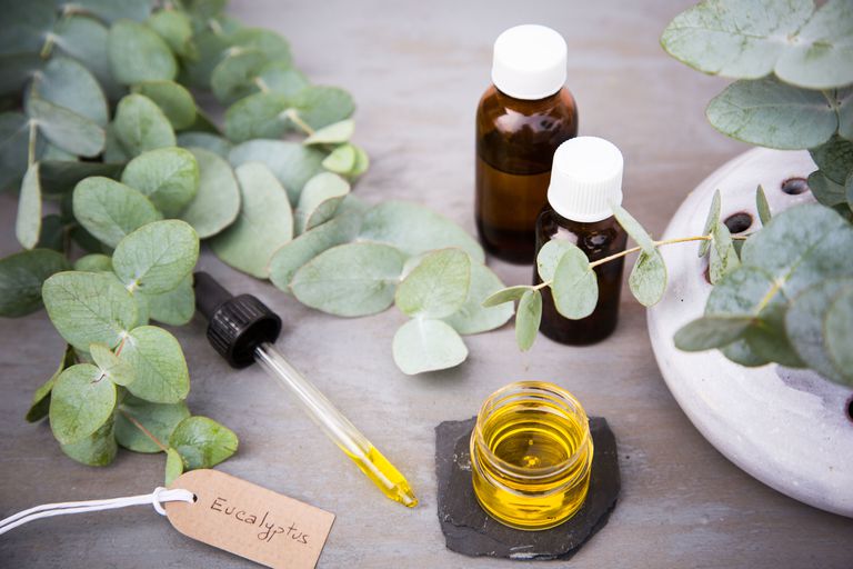 eucalyptus essential oils
