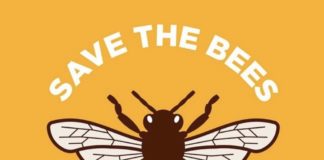 Five Takeaways from the Latest UN Report on Biodiversity and Why It Matters to All of Us Save Bee Pollinator Biodiversity