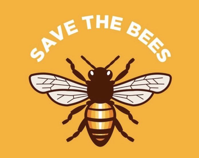 Save Bee Pollinator Biodiversity