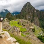 Wealth of the Wild: How Indigenous Animals Have Brought Many Cultures to Prosperity