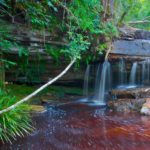 Why Traveling to Malaysia Should Be in Everyone’s Bucket List Malaysia BELatina