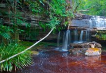 Why Traveling to Malaysia Should Be in Everyone’s Bucket List Malaysia BELatina