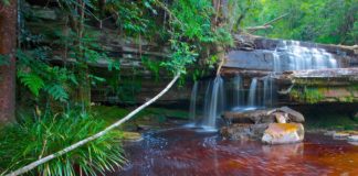 Why Traveling to Malaysia Should Be in Everyone’s Bucket List Malaysia BELatina