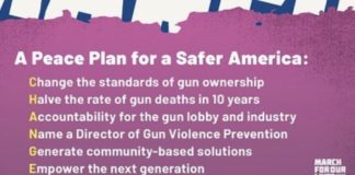 A Run-Down of the March for Our Lives 2020 Peace Plan CHANGE Gun Violence