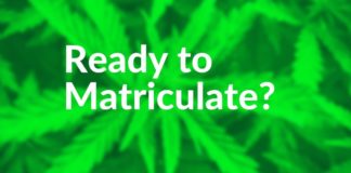 Major in Mary? University of Maryland Kicks Off the U.S.’s First Master’s Cannabis Program university of maryland Growth Industry Cannabis Degree