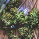 Here’s Why Hispanics Grasp the Positive Power of Cannabis Cannabis BELatina Women