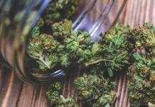 Here’s Why Hispanics Grasp the Positive Power of Cannabis Cannabis BELatina Women
