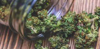 Here’s Why Hispanics Grasp the Positive Power of Cannabis Cannabis BELatina Women