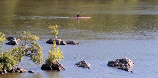 EPA Chooses Interests of Industry Polluters Over Health of Americans in Rollback of Water Protections Water EPA Obama BELatina