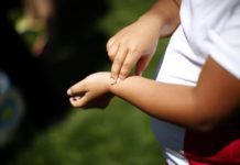Why Are Hispanics in Colorado Disproportionally Obese? Obese Colorado Children