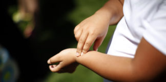 Why Are Hispanics in Colorado Disproportionally Obese? Obese Colorado Children