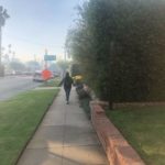 Low-Wage, Immigrant Workers Are Still Showing Up for Work in Wealthy LA Neighborhoods Affected by Getty Fire Getty Fire