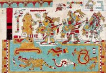 Everything You Need to Know About the Mexican Mayan Codex Mayan Codices BELatina