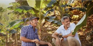 Until Sunday, You Can Plant New Coffee Trees in Puerto Rico Through the Hispanic Federation Nespresso Clooney BELatina