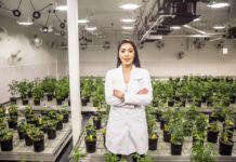 Meet Priscilla Vilchis: The Game-Changing Latina Cannabis Entrepreneur Priscilla Vilchis Cannabis BELatina