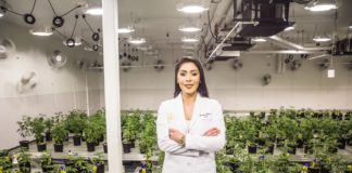 Meet Priscilla Vilchis: The Game-Changing Latina Cannabis Entrepreneur Priscilla Vilchis Cannabis BELatina
