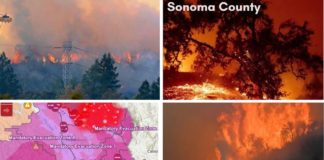 Latino Community Foundation Springs into Action to Help Vulnerable Sonoma County Latinos Bounce Back from Wildfire norcal wildfire relief BELatina