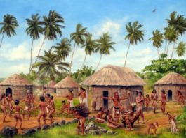 Taíno Culture BELatina