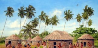 Caribbean History: Everything You Need to Know about the Taínos Taíno Culture BELatina