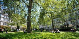 City Dwellers Live Longer When They Have Access to Green Space in Their Urban Environment Green space Belatina