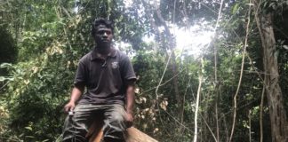 Paulo Paulino Guajajara, Indigenous ‘Guardian of the Forest,’ is Shot and Killed on His Tribal Land in the Amazon by Illegal Loggers Paulo Paulino Guajajara BeLatina