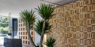 Earth to Miami: Spotlight on Sustainable Design at CASACOR with Local Designer Michelle Haim BELatina Miami Carlos Domenech Photographer Haim Earth Lounge