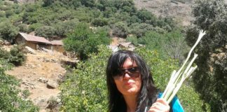 Green Dreams: A Coversation With Monika Brümmer, the Visionary Designer of Earth-Friendly, Hemp-Based ‘Cannabric’ That Could Transform Latin American Eco-Architecture cannabric BELatina