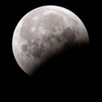 Howling Into the New Year: Why You Should Try a Full Wolf Moon Ritual wolf moon ritual Belatina