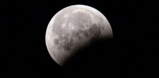 Howling Into the New Year: Why You Should Try a Full Wolf Moon Ritual wolf moon ritual Belatina