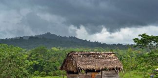 A Tragic Epidemic of Violence in Nicaragua