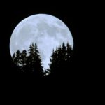 Snow Moon (aka Hunger Moon) 2020: Use This Full Moon to Reflect on the Things You Need Super Snow Moon BELatina Latinx