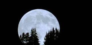 Snow Moon (aka Hunger Moon) 2020: Use This Full Moon to Reflect on the Things You Need Super Snow Moon BELatina Latinx